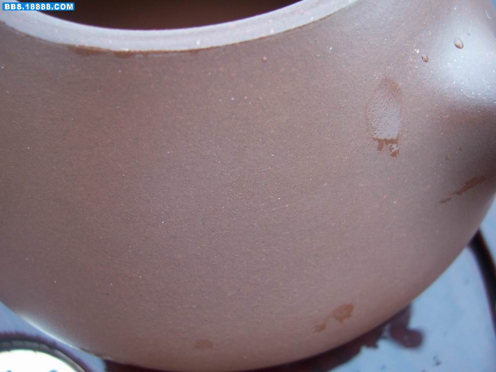 100_2667.JPG