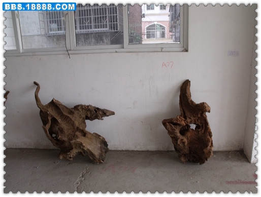 DSCF1880.JPG