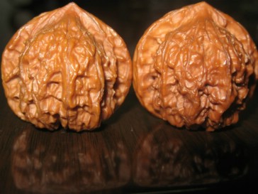 照片 211.jpg