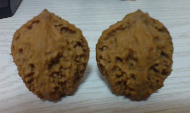未命名2.jpg