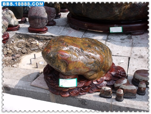 DSCF1861.JPG