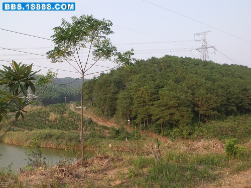 DSCF2416.JPG