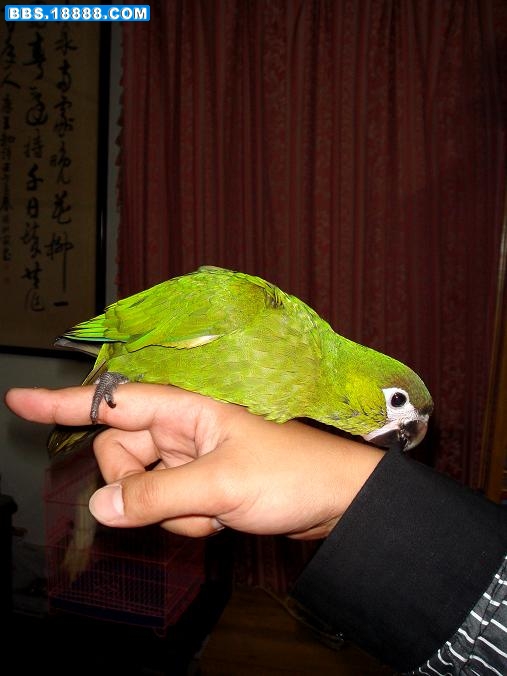 DSC04976.JPG