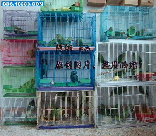 未命名11.jpg