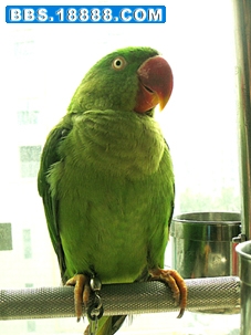 2492958_207327737.jpg