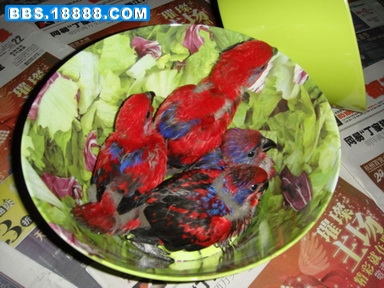 DSC06712_调整大小_调整大小.JPG