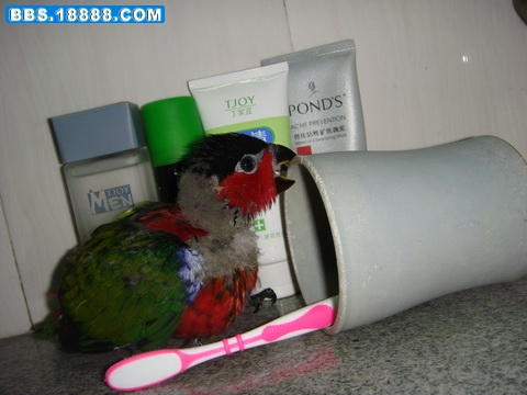 DSC06373_调整大小.JPG