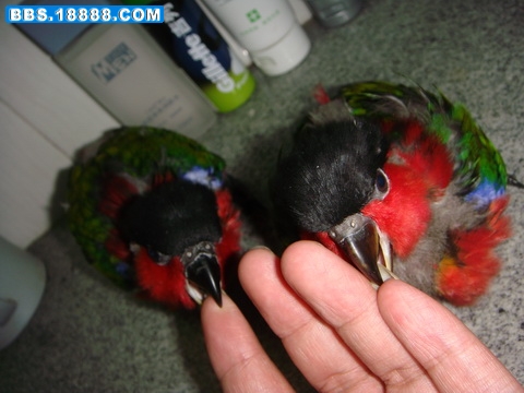 DSC06366_调整大小.JPG