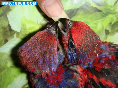 DSC06753_调整大小.JPG