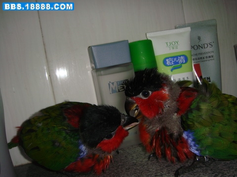 DSC06370_调整大小.JPG