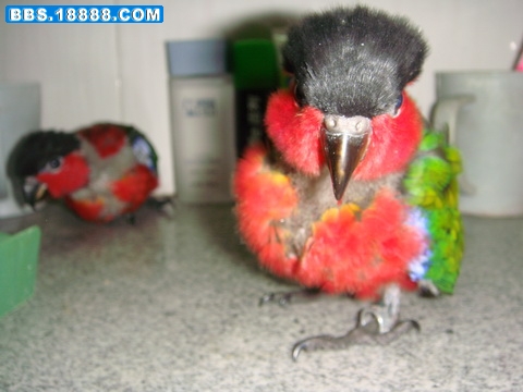 DSC06367_调整大小.JPG