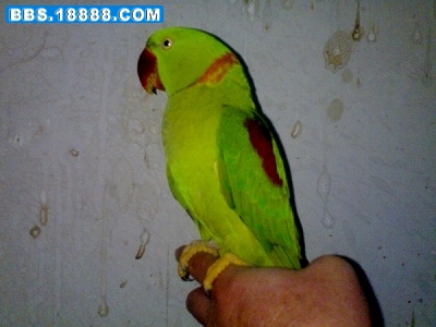 200911271044.jpg