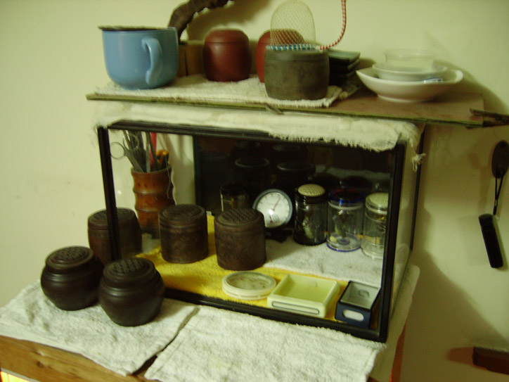 IMGP0235.jpg
