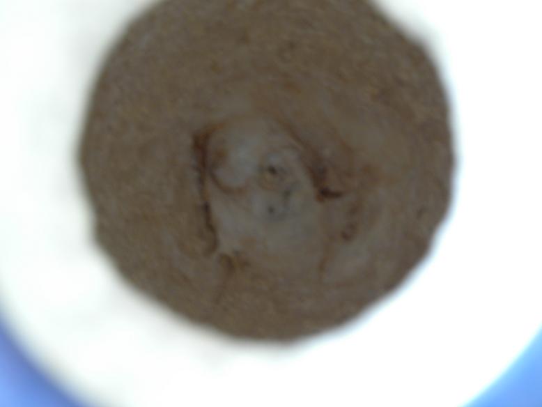 DSCN0749.JPG