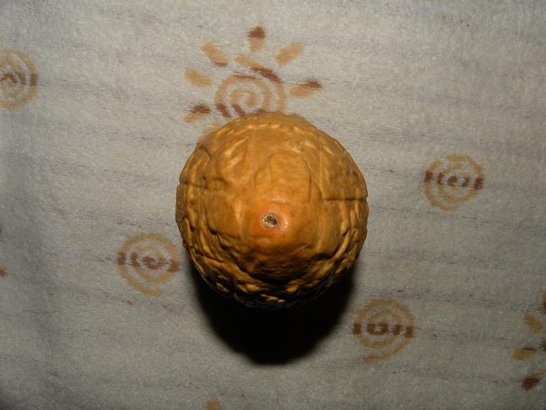 DSCN0634.JPG