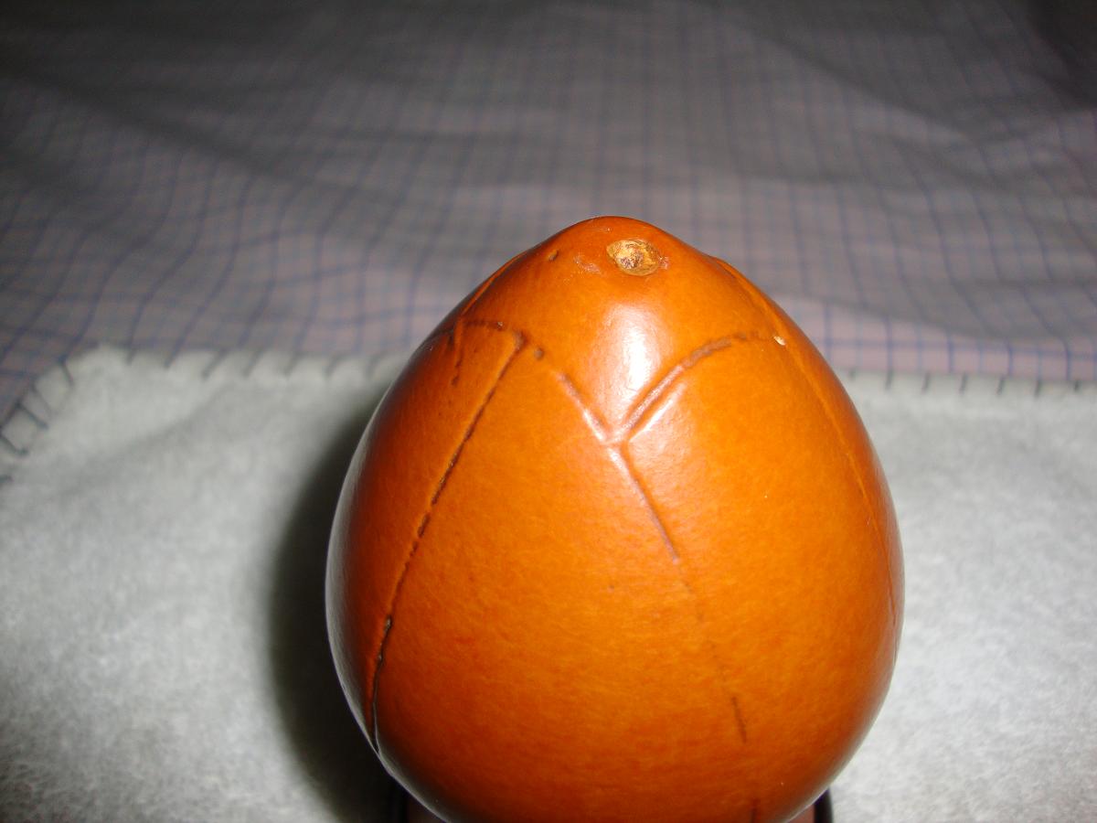DSC00459.JPG