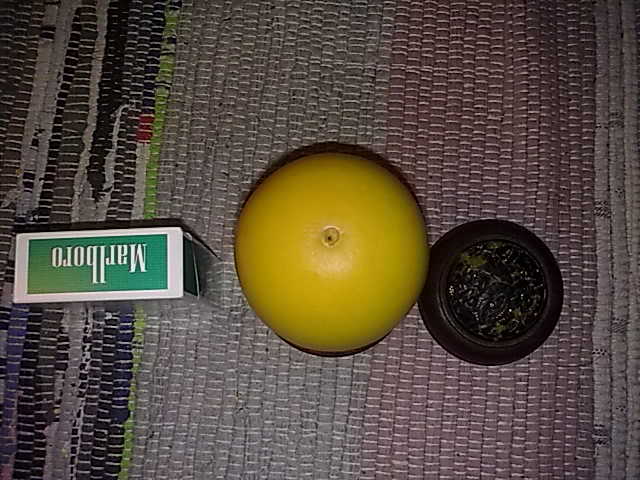 20091121206.jpg