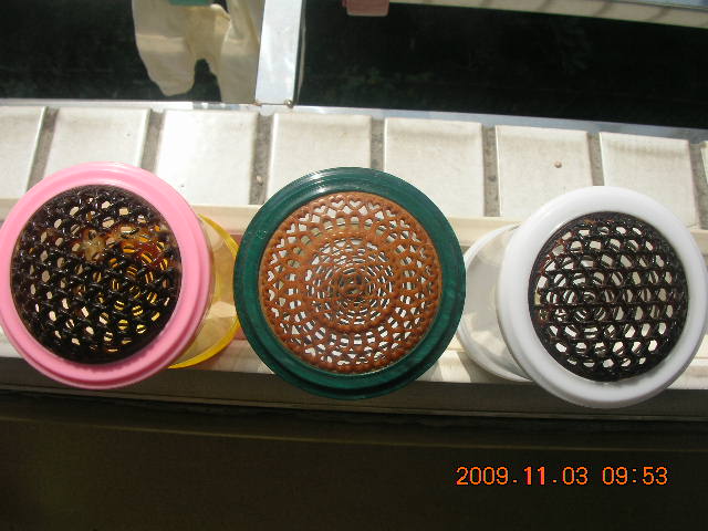 DSCN6570.JPG