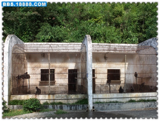 DSCF1588.JPG