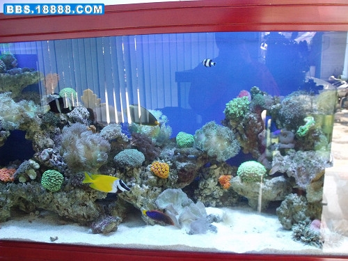 DSCF2070.JPG