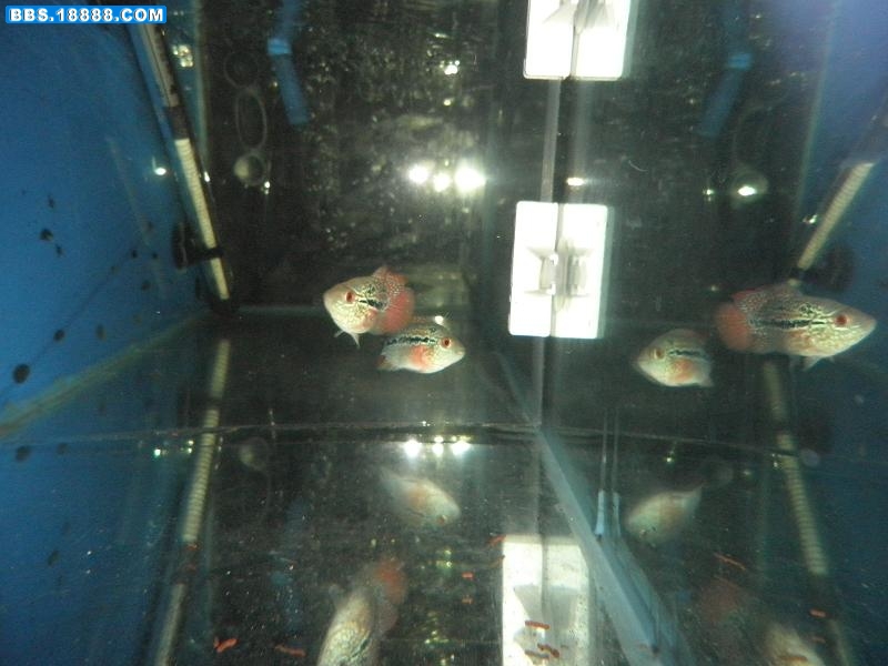 PB260208.JPG