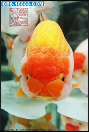 照片 047.jpg