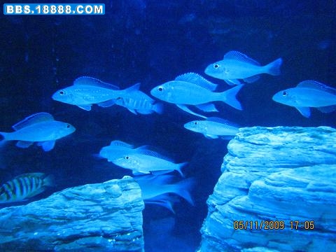 IMG_3116.JPG