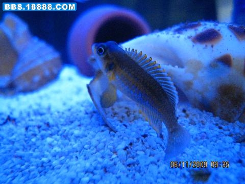 IMG_3170.JPG