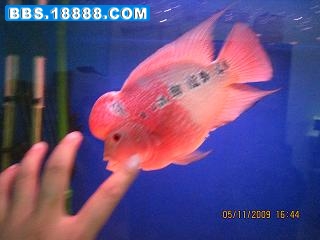 IMG_3050.JPG