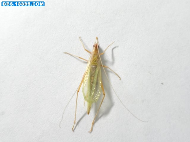 PA251378.JPG