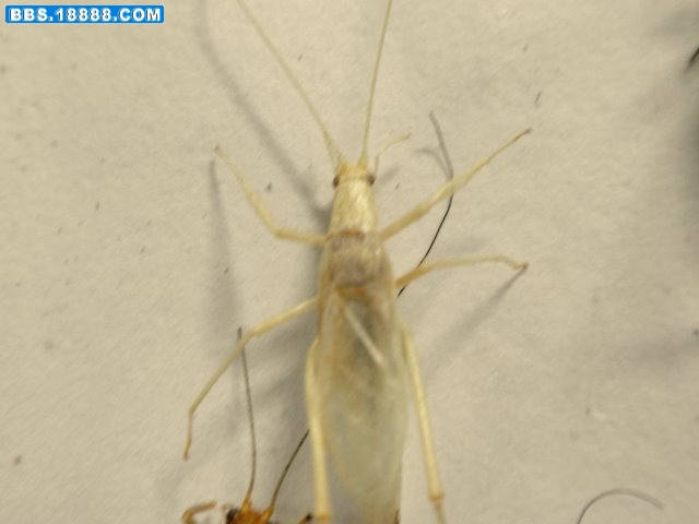 PB141521.JPG