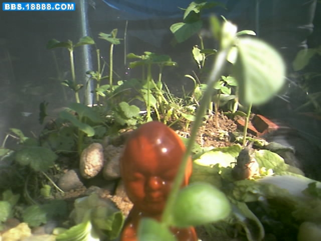 img037.jpg