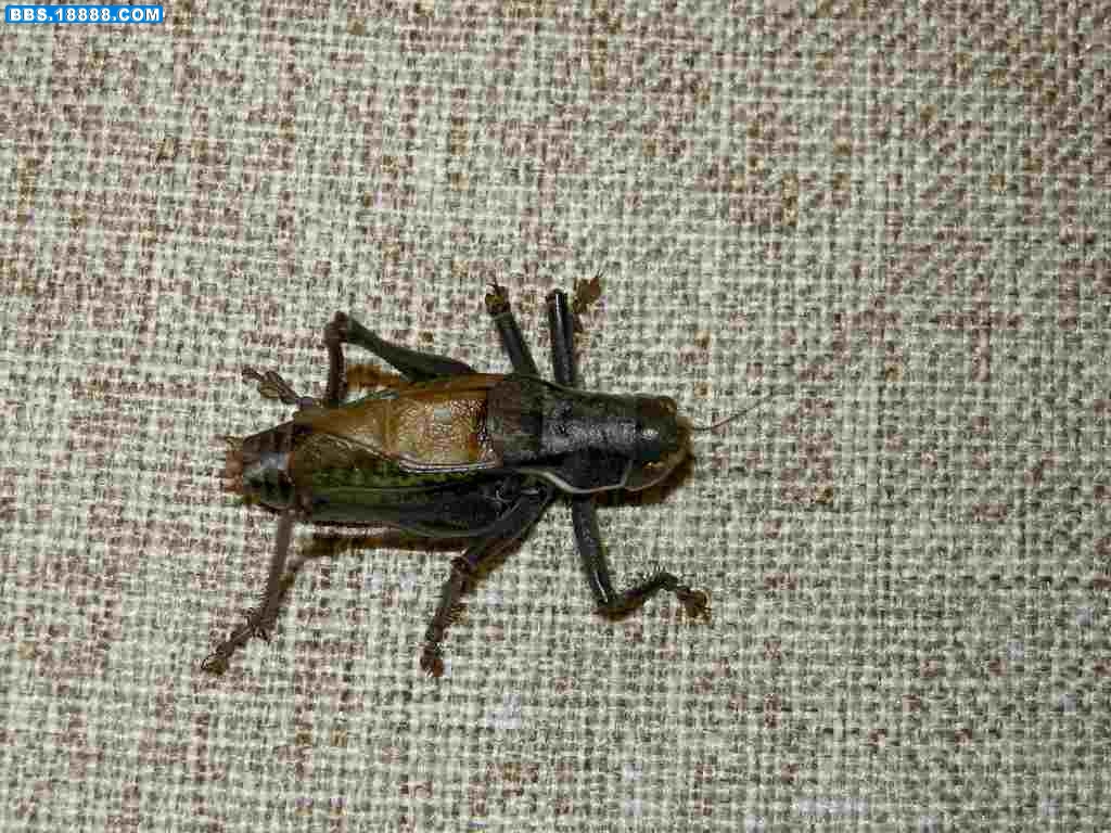 DSCN1321.jpg