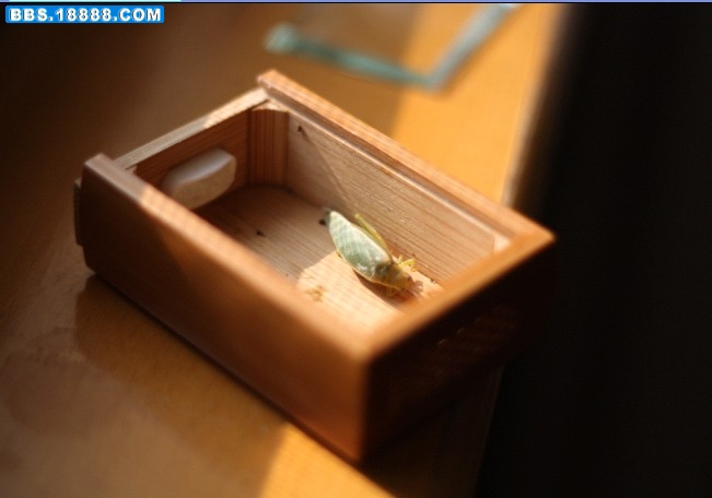 最后的母金钟２.jpg