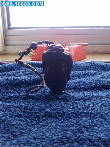 20091101071.jpg
