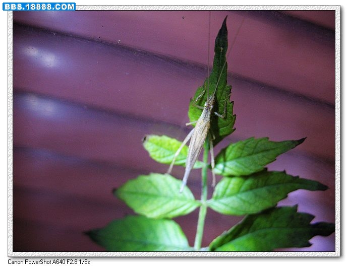 nEO_IMG_照片 034.jpg