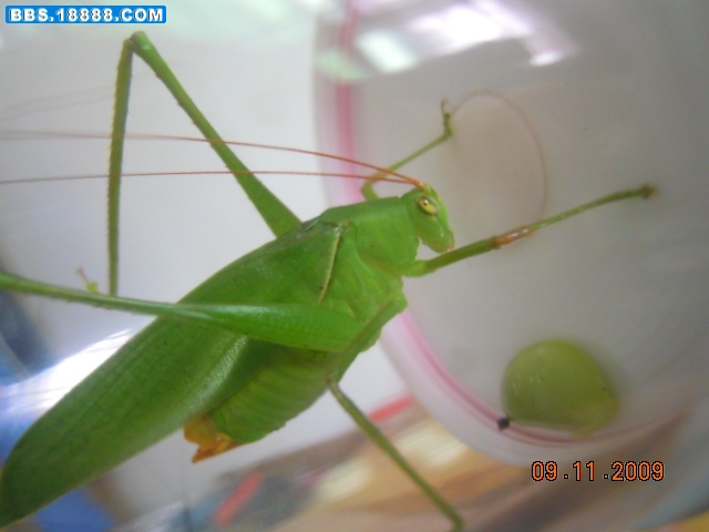 照片 004.jpg