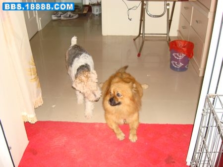 DSC02594.jpg