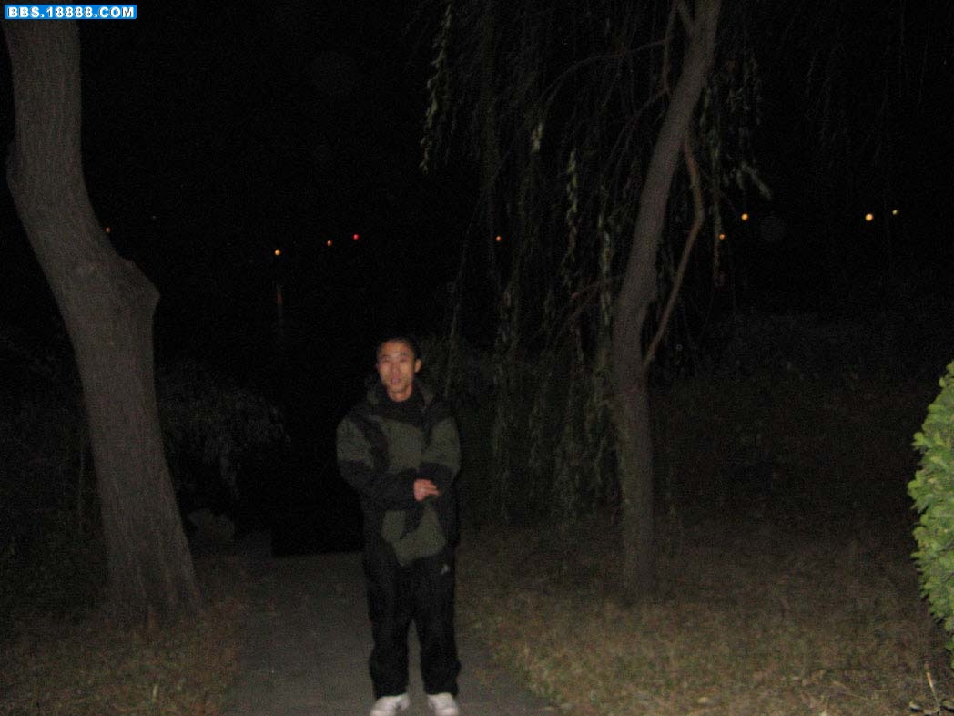 IMG_00871.jpg