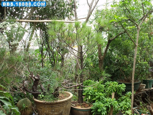 DSCF2679.JPG