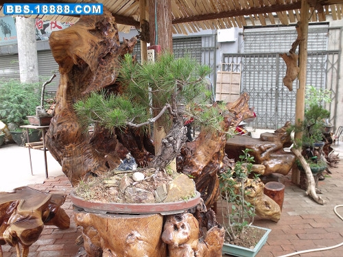 DSCF2676.JPG