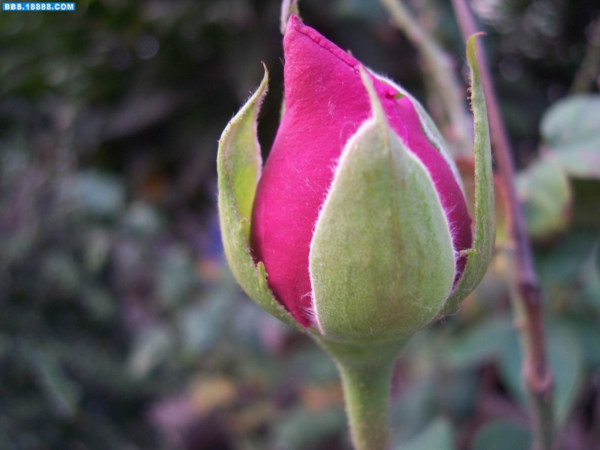 100_3409.JPG