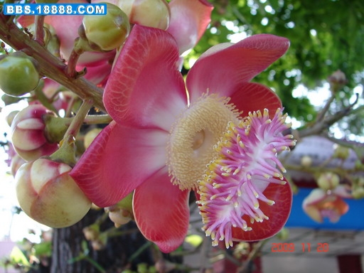 DSC03334_缩小大小.JPG