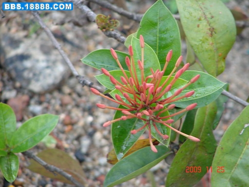 DSC03768_缩小大小.JPG