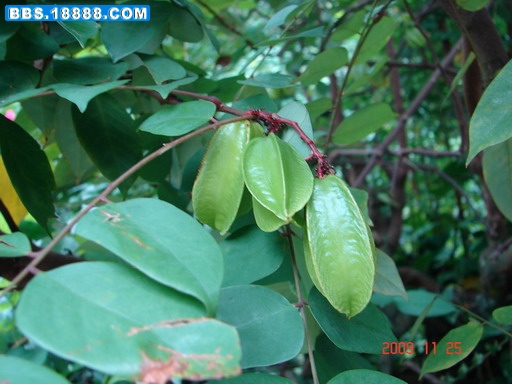 DSC03715_缩小大小.JPG