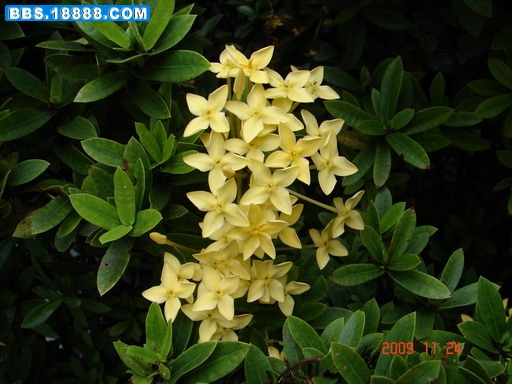 DSC03657_缩小大小.JPG