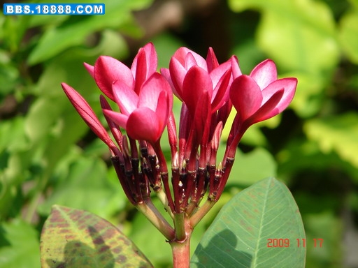 DSC02777_缩小大小.JPG