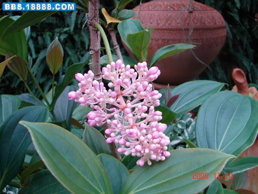 DSC03179_缩小大小.JPG