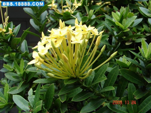 DSC03658_缩小大小.JPG