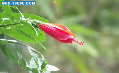 DSCF2862.JPG